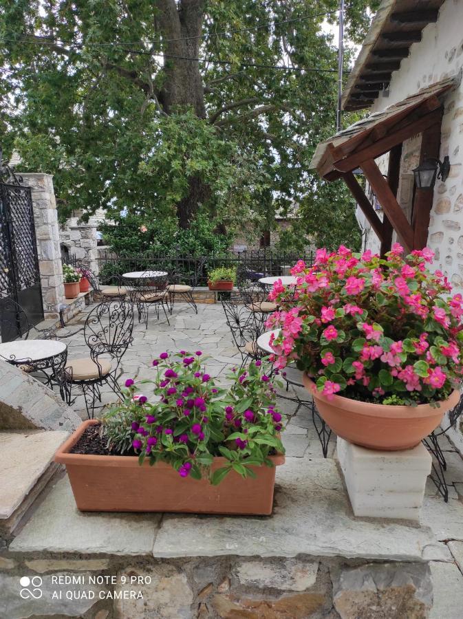 Θετισ Hotel Vizíca Kültér fotó
